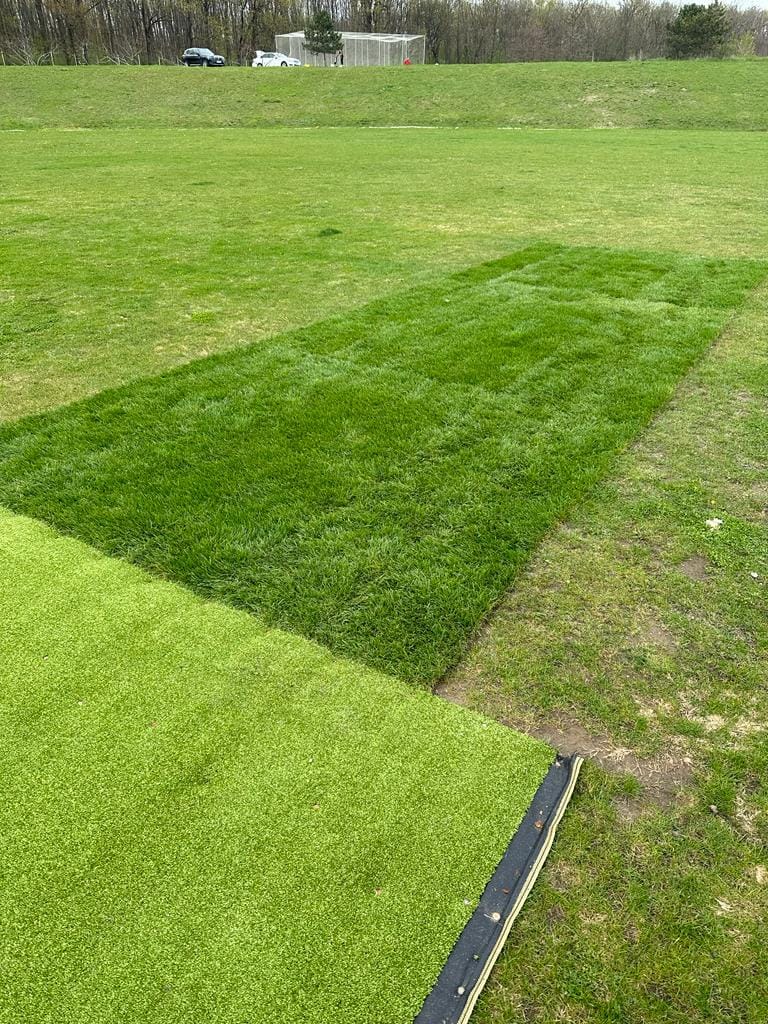 Renovations, Repairs, New Pitch Federatia Romana de Cricket
